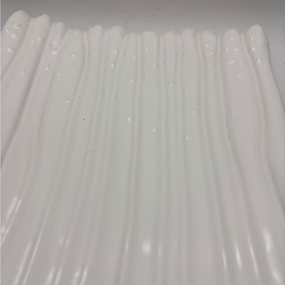 White Asparagus Ceramic Tray/Plate - Picture 4 of 10